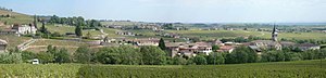 300px-Panorama_de_Chénas.jpg