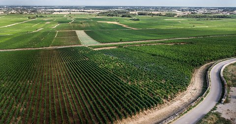 アルマン・ハイツvolnay-vigne-drone-vue-chemin_1728x.jpg