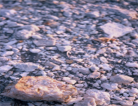 サザンライト 10-Quartzitic-sandstone-topsoi.jpg