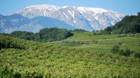 ファルネーゼ abruzzo-hd-01-1024x576.jpg