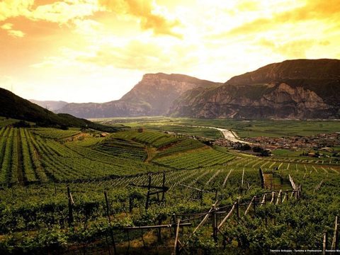 フェラーリxVineyard-in-Trentino-760x570_jpg_pagespeed_ic_qJiuQUYXkL.jpg