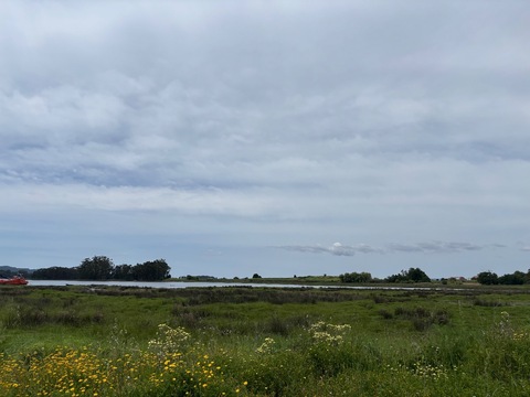 IMG_4540.jpeg